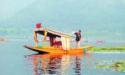 काय निवडायचे आपण?