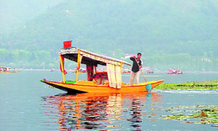 काय निवडायचे आपण?