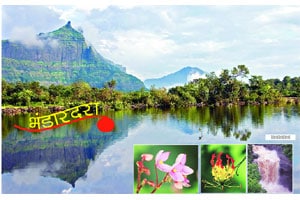 भंडारद-यात चांगली आवक, मुळा वाहती झाली भंडारद-यात चांगली आवक, मुळा वाहती झाली