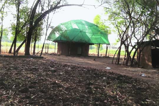 पर्यायी विकासनीतीची ‘विज्ञानग्राम’ची हिरवळ!