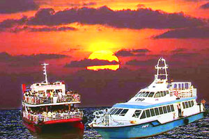 जलवाहतुकीसाठी लवकरच पर्यावरण सुनावणी! जलवाहतुकीसाठी लवकरच पर्यावरण सुनावणी!