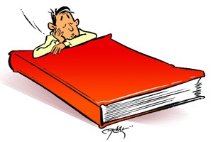 एक मराठी डायरी