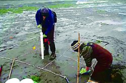 प्रोजेक्ट फंडा : सर्वेक्षण कसे करावे?