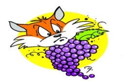 कोल्ह्य़ाला द्राक्ष आंबट..