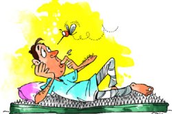 рддрд╛рдкрд╛рдЪрдВ рдХрд╛рдп рдХрд░рд╛рд╡рдВ?