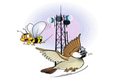 मधुघट रिकामे पडण्यामागचे वास्तव