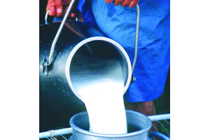 दूध पुरवठादारांना प्रतिलिटर दोन रुपये फरक अदा देणार दूध पुरवठादारांना प्रतिलिटर दोन रुपये फरक अदा देणार