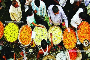 रंगीबेरंगी झेंडूला सर्वाधिक मागणी रंगीबेरंगी झेंडूला सर्वाधिक मागणी