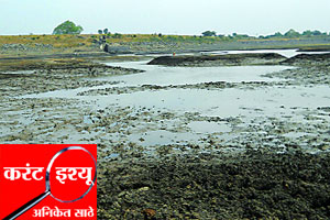 पाणी प्रश्नाचा राजकीय संघर्ष