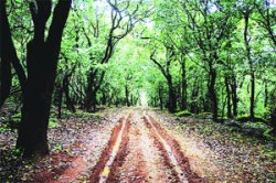 विश्वकर्मा हवा, दु:शासन नको