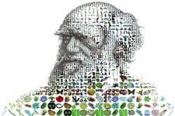 मनमोराचा पिसारा.. डार्विनच्या मनाचं कोडं