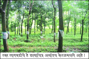 कथा कोकणच्या दोन महामंडळांची! कथा कोकणच्या दोन महामंडळांची!