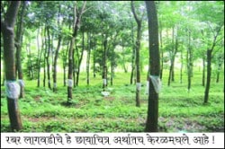 कथा कोकणच्या दोन महामंडळांची!