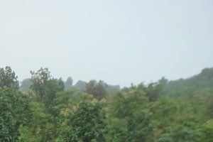 गाडगीळ अहवाल विकासाला मारकच