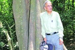 महाजनो येन गत: