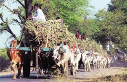 आर्थिक गणितही महत्त्वाचे