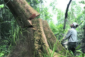 पर्यावरण विषयाच्या मान्यतेचा प्रश्न मार्गी