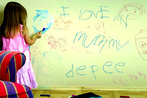 भिंत.. एक भावविश्व! भिंत.. एक भावविश्व!