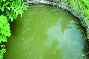 ‘जलसंधारणासाठी कृतिशील मानसिकता गरजेची’