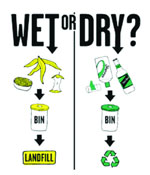 कुतूहल : कचऱ्यातून संपत्तीनिर्मिती