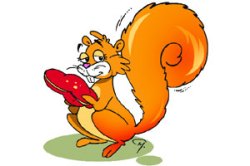 खारूला तारू, नका मारू