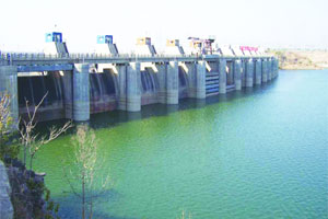 कावेरी पाणी वादावरून तामिळनाडू-कर्नाटक वाहतूक बंद