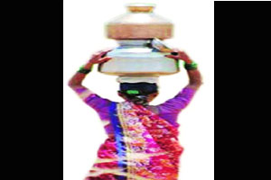 दुष्काळाने फास आवळला, मराठवाडा अधिकच कासावीस! दुष्काळाने फास आवळला, मराठवाडा अधिकच कासावीस!