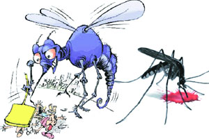 डेंग्यूचा धसका! डेंग्यूचा धसका!