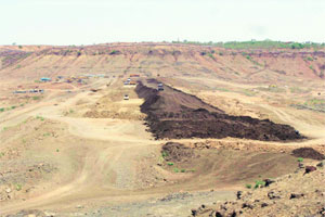 श्वेतपत्रिकेतून भ्रष्टाचार गायब, प्राधान्यक्रमाचे स्तोम!
