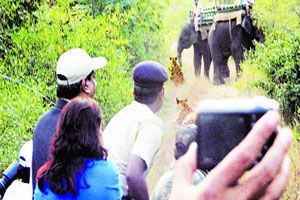 विधिमंडळाबाहेरील वन्यजीव पुराण चर्चेत.. विधिमंडळाबाहेरील वन्यजीव पुराण चर्चेत..