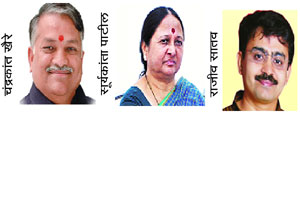 मराठवाडय़ात लोकसभेची लगीनघाई