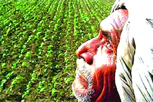 शेतकरी आत्महत्यांच्या आकडेबारीबाबत संभ्रम