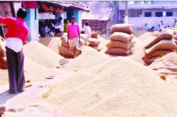 मराठवाडय़ात दुष्काळ पाण्याचा, पूर धान्याचा