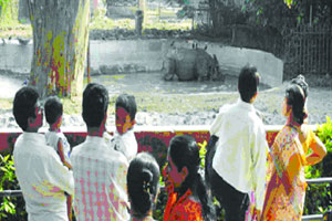 कुतूहल : प्राणिसंग्रहालयातील सुरक्षितता कुतूहल : प्राणिसंग्रहालयातील सुरक्षितता