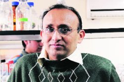 संशोधनाची अंतप्रेरणा