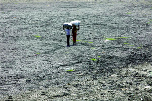 दुष्काळी जालना जिल्ह्य़ातून पावणेदोन हजार कुटुंबांचे स्थलांतर