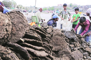 टंचाईच्या सावटाखाली होळी टंचाईच्या सावटाखाली होळी
