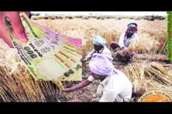 कर्जबुडव्यांना प्रसिद्धीचा उपाय जुनाच..