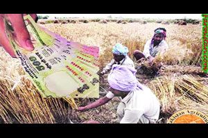 कर्जबुडव्यांना प्रसिद्धीचा उपाय जुनाच..