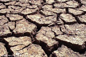 महाराष्ट्रातील दुष्काळप्रश्नी मंत्रिगटाची आज बैठक