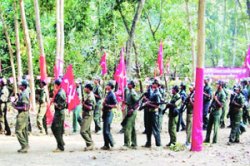 उपाय असूनही निरुपाय?