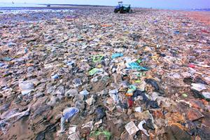 गुन्हे दाखल करण्याचे राष्ट्रीय हरित न्यायाधीकरणाचे आदेश गुन्हे दाखल करण्याचे राष्ट्रीय हरित न्यायाधीकरणाचे आदेश