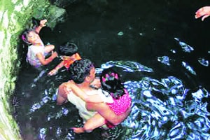 कुतूहल : रंगवासा जैविक ग्राम संस्था
