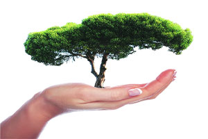 उद्दिष्टपूर्तीसाठी शेतीखालील क्षेत्राचाही घेतला जाणार आधार उद्दिष्टपूर्तीसाठी शेतीखालील क्षेत्राचाही घेतला जाणार आधार