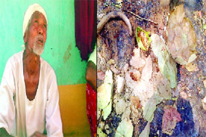 पोलीस-नक्षलवादी चकमकीनंतर सिंदेसूर सुन्न पोलीस-नक्षलवादी चकमकीनंतर सिंदेसूर सुन्न