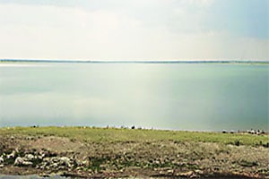 विदर्भाच्या गोदावरी खोऱ्यातील १५४ अब्ज घनफूट पाणी वापराविना