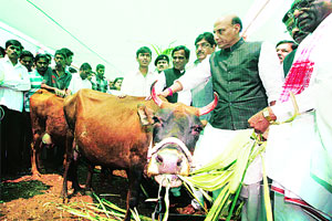 भाजपच्या अजेंडय़ावर पुन्हा समान नागरी कायदा