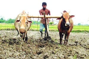 घाईतच शहरालगतच्या जमिनीची प्रक्रिया