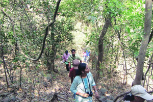 उत्तर सिक्कीममधील भटकंती