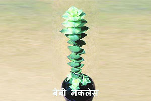 बेबी नेकलेस बेबी नेकलेस